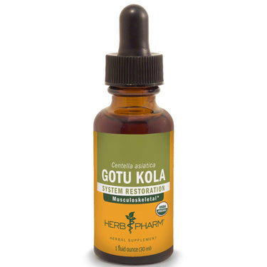 Gotu Kola - My Village Green